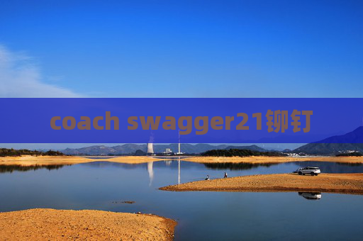 coach swagger21铆钉